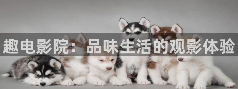 琅琊榜天龙影院：趣电影院：品味生活的观影体验