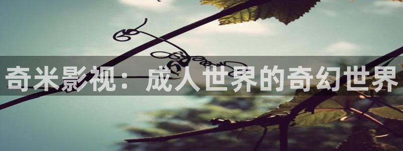 眉县天龙国际影城：奇米影视：成人世界的奇幻世界