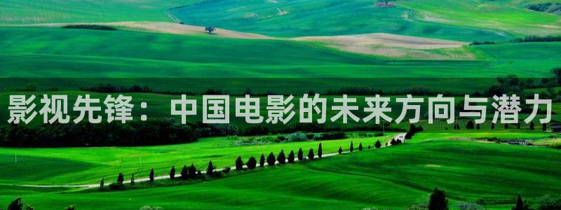 国产剧天龙高清影院：影视先锋：中国电影的未来方向与潜力