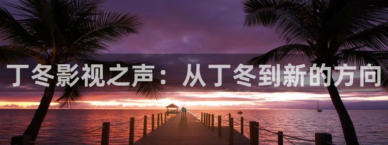 天龙高清影院官网：丁冬影视之声：从丁冬到新的方向