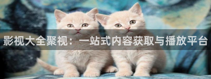 天龙影院在线观看：影视大全聚视：一站式内容获取与播放平台