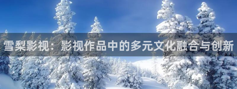 天龙影院2025最新款：雪梨影视：影视作品中的多元文化融合与创新
