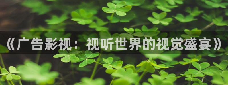 天龙9：《广告影视：视听世界的视觉盛宴》