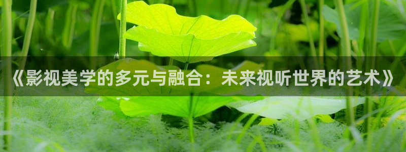 无颜之月天龙影院：《影视美学的多元与融合：未来视听世界的艺术》