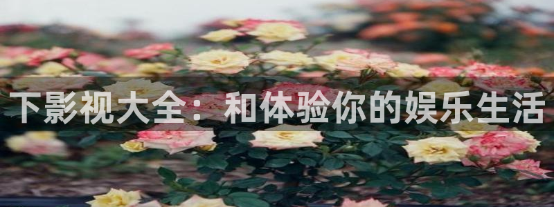 天龙电影网在线观看：下影视大全：和体验你的娱乐生活