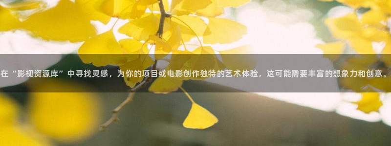 家庭影院 denon 天龙：在“影视资源库”中寻找灵感，为你的项目或电影创作独特的艺术体验，这可能需要丰富的想象力和创意。