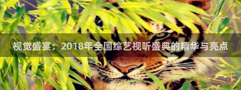 天龙影院电视剧免费看：视觉盛宴：2018年全国综艺视听盛典的精华与亮点
